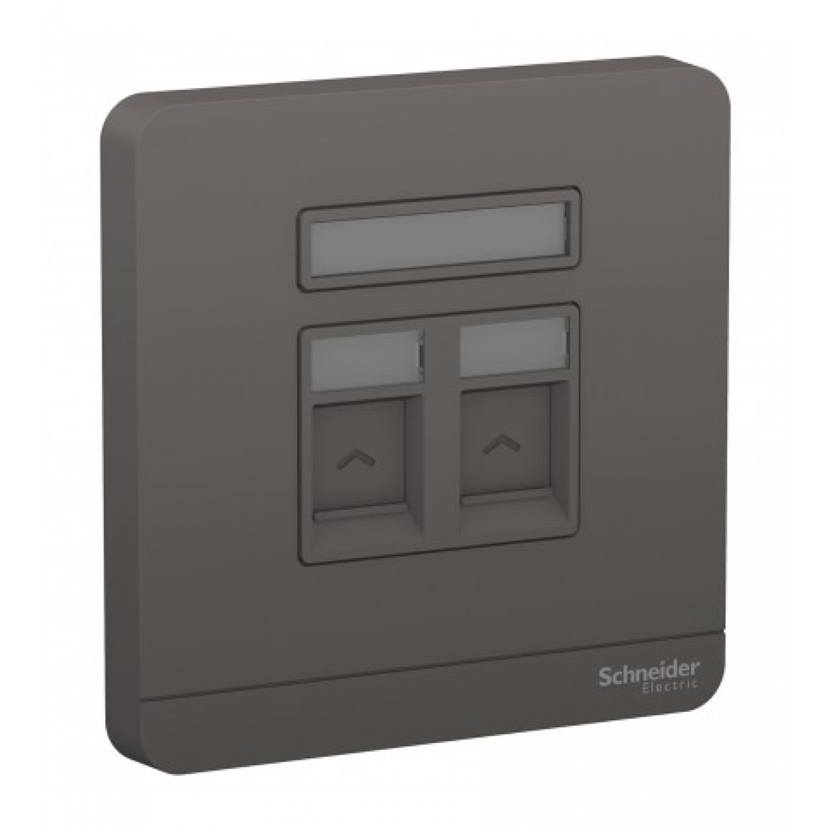 施耐德電氣 AvatarOn 兩位RJ11四線電話插座 (石墨灰) - 附防塵活門，Keystone面板